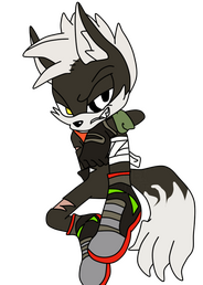 Jackal Boi