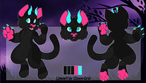Midnight Cat