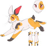 Calico Rabbit