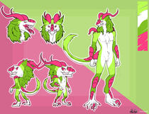 Watermelon-Kiwi Sergal
