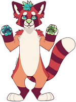 Bi-Colored Red Panda