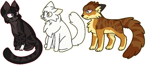 Warrior Cats